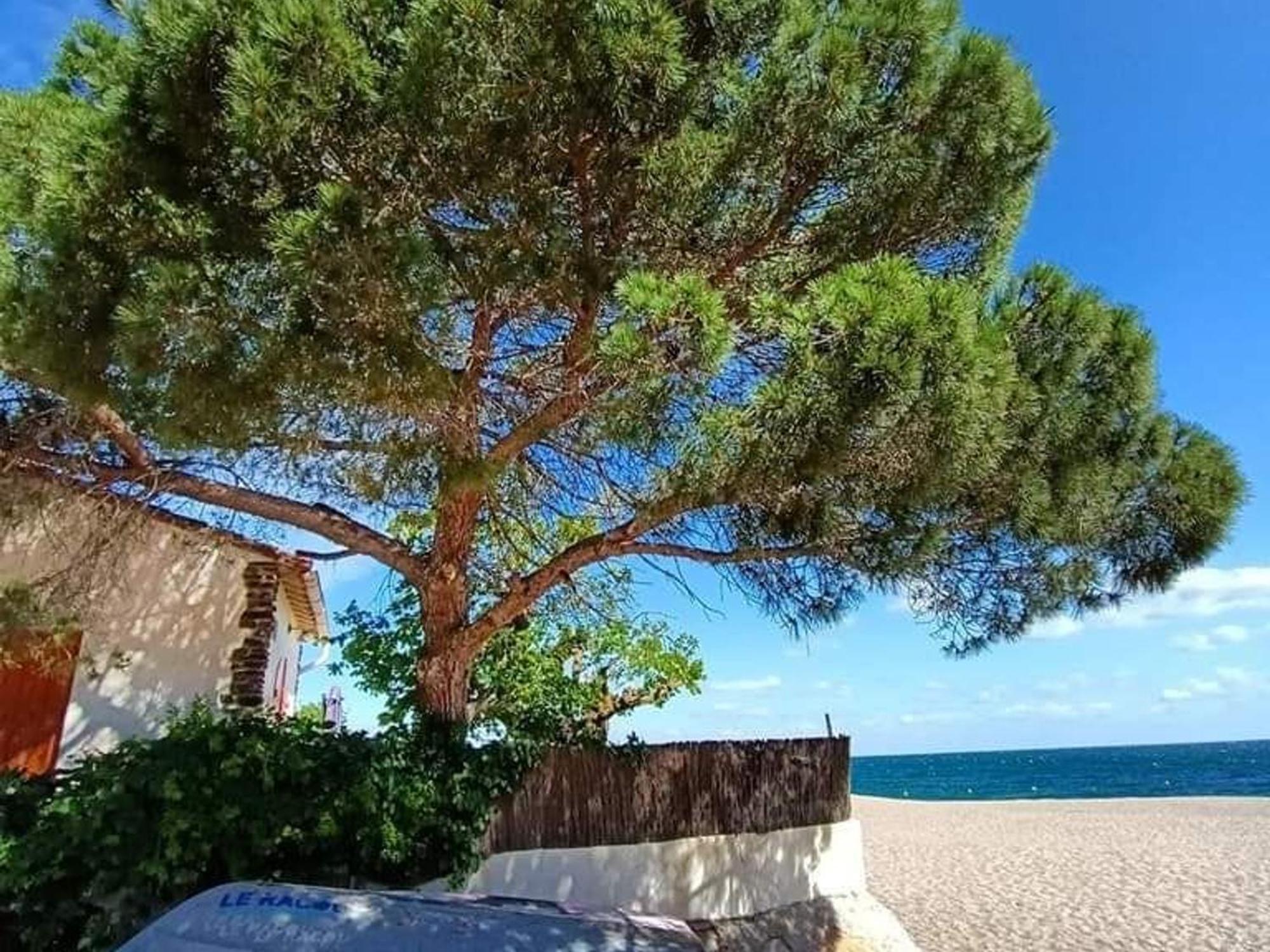 Pavillon 6 Pers A Argeles-Sur-Mer: Piscine, Clim, Parking, Wifi, Proche Plage - Fr-1-776-5 Екстер'єр фото